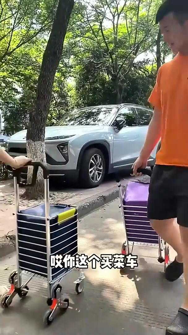 买菜车小拉车手拉车爬楼折叠