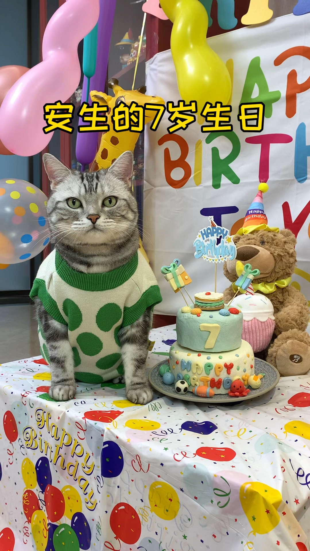 祝安生七岁生日快乐,给安生来句生日祝福吧