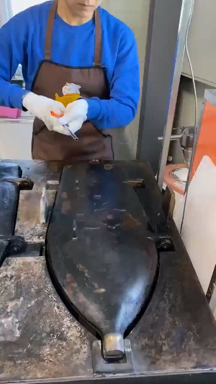 制作蛋糕鱼的全部过程,探索新奇