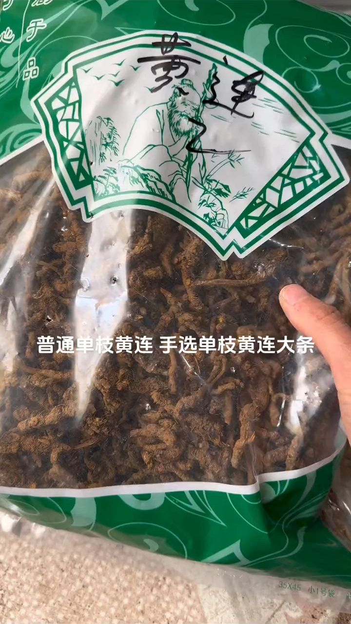 川黄连单支连和鸡爪连