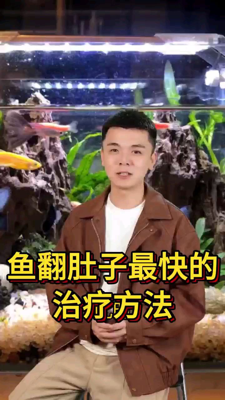鱼翻肚子最快的治疗方法