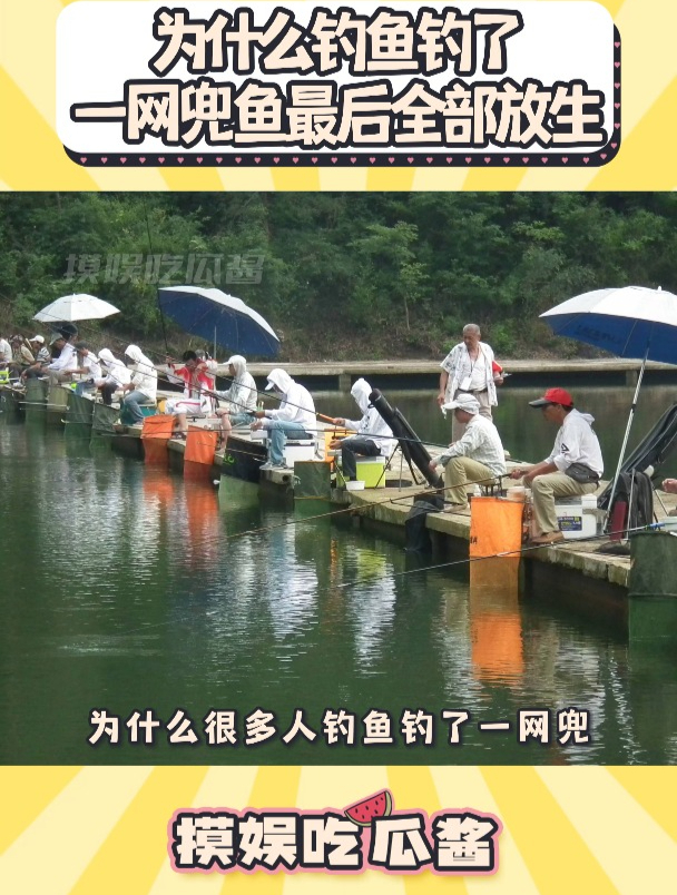 为什么钓到鱼最后全部放生?钓鱼的乐趣只有钓鱼人懂