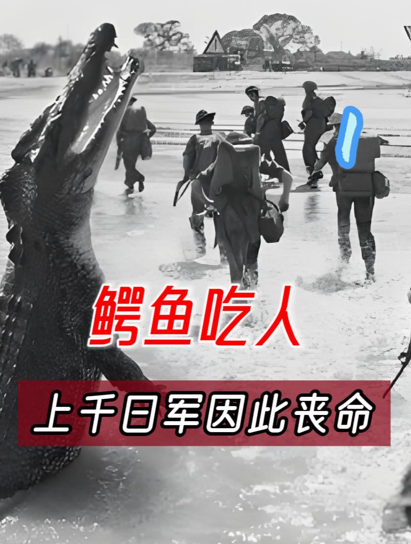 兰里岛之战,真有上千日军成了鳄鱼腹中餐?
