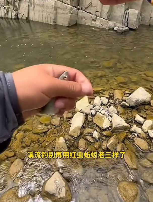 都知道面筋饵专用溪流钓石斑鱼,但自己真的会用吗?
