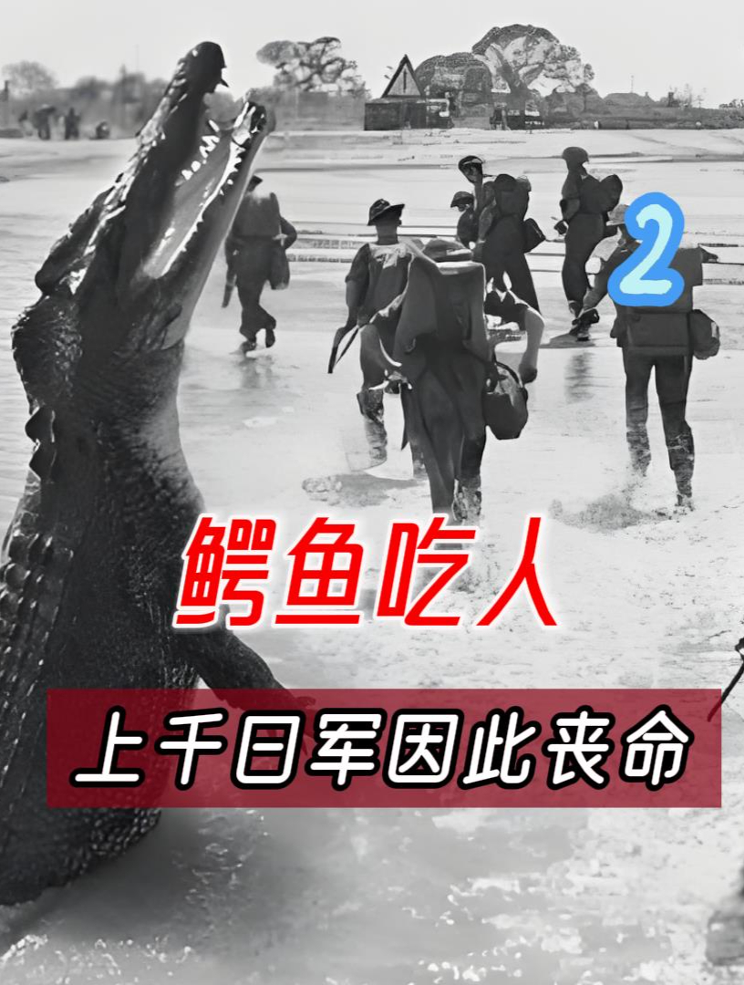 缅甸鳄鱼吃人惨案!兰里岛之战,真有上千日军被吃?