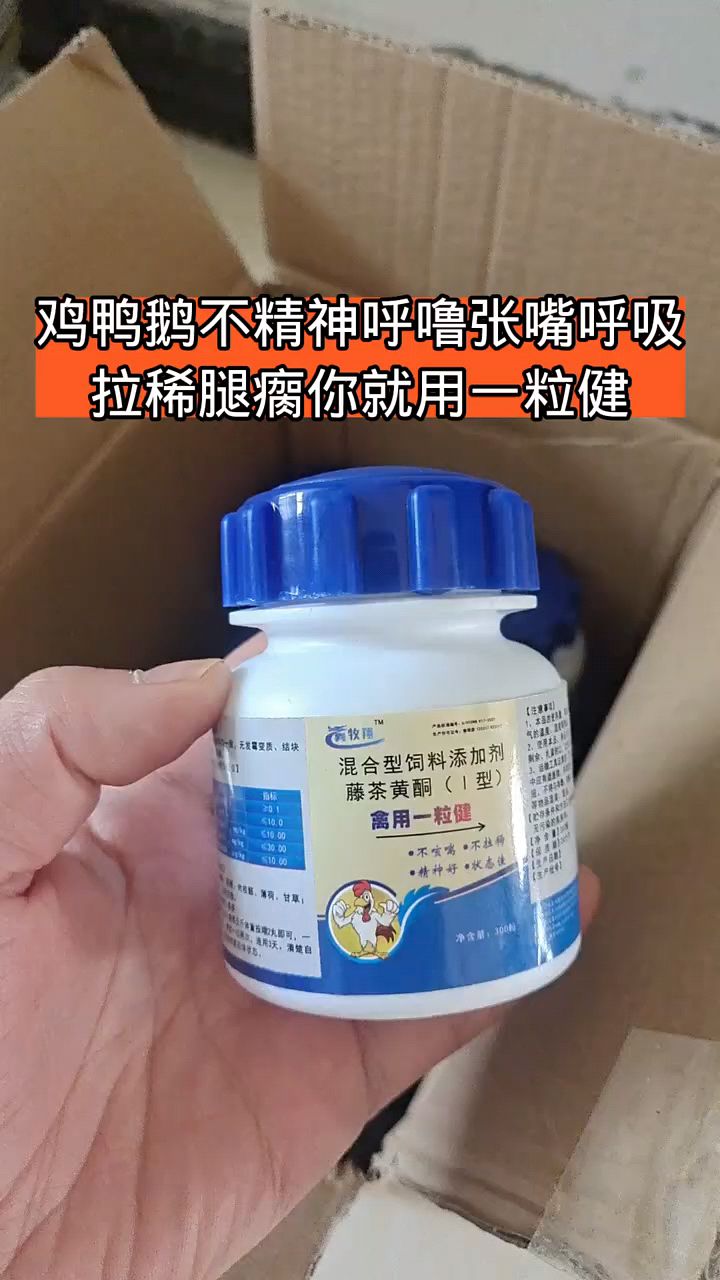鸡鸭鹅精神不好张嘴呼吸用这个东西