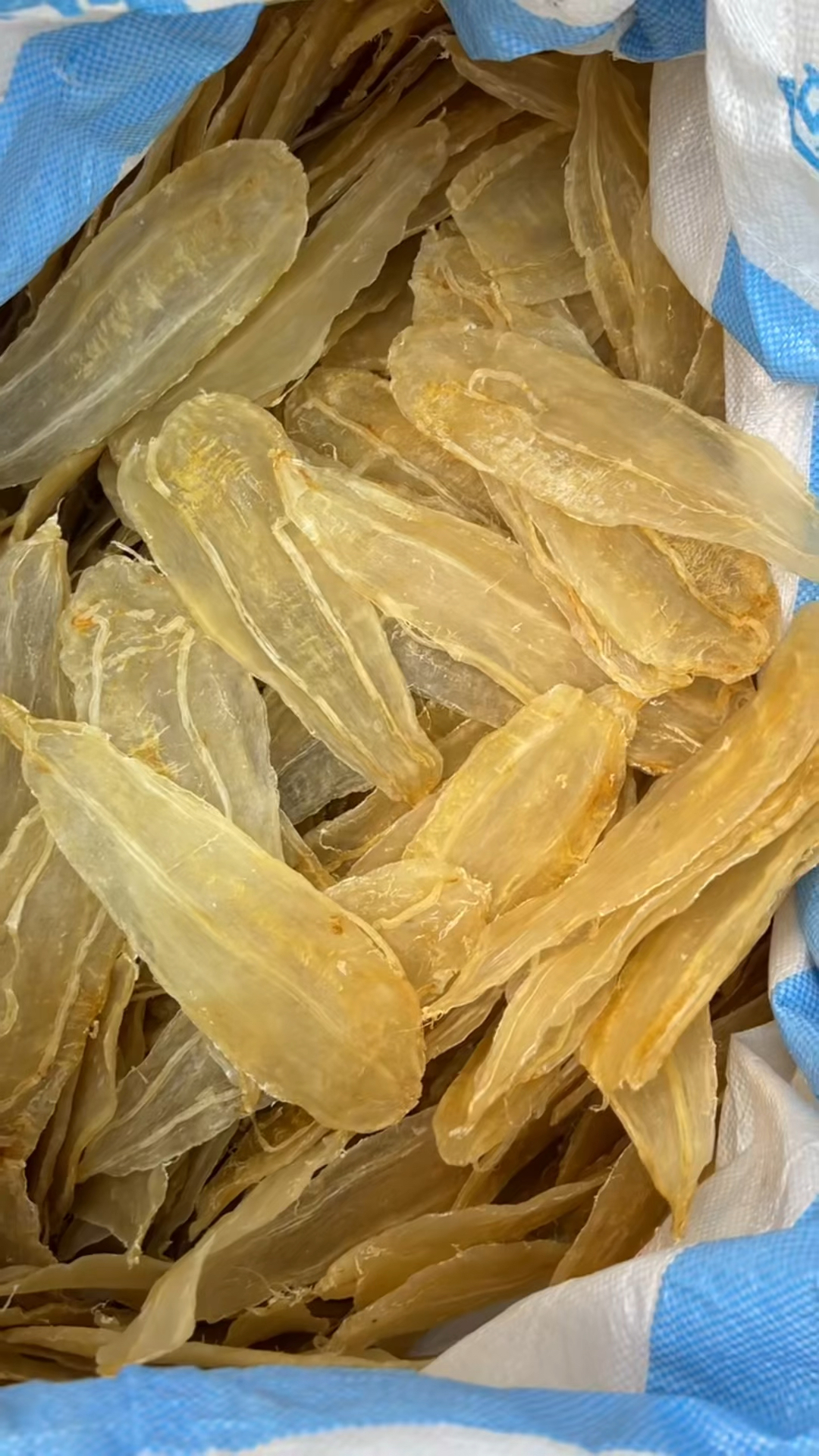 鸭包筒,黄花胶,赤嘴片,竹叶胶,红鸡公,阴阳条,刺花公,赤肚