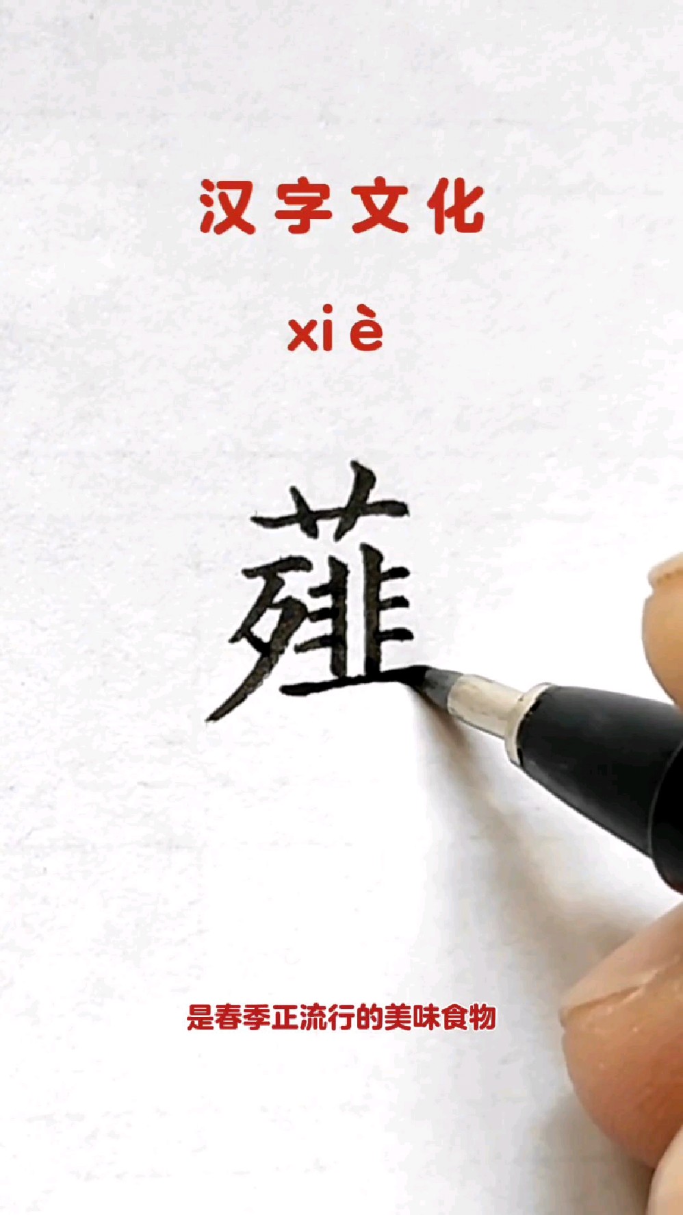 中国汉字文化 :薤