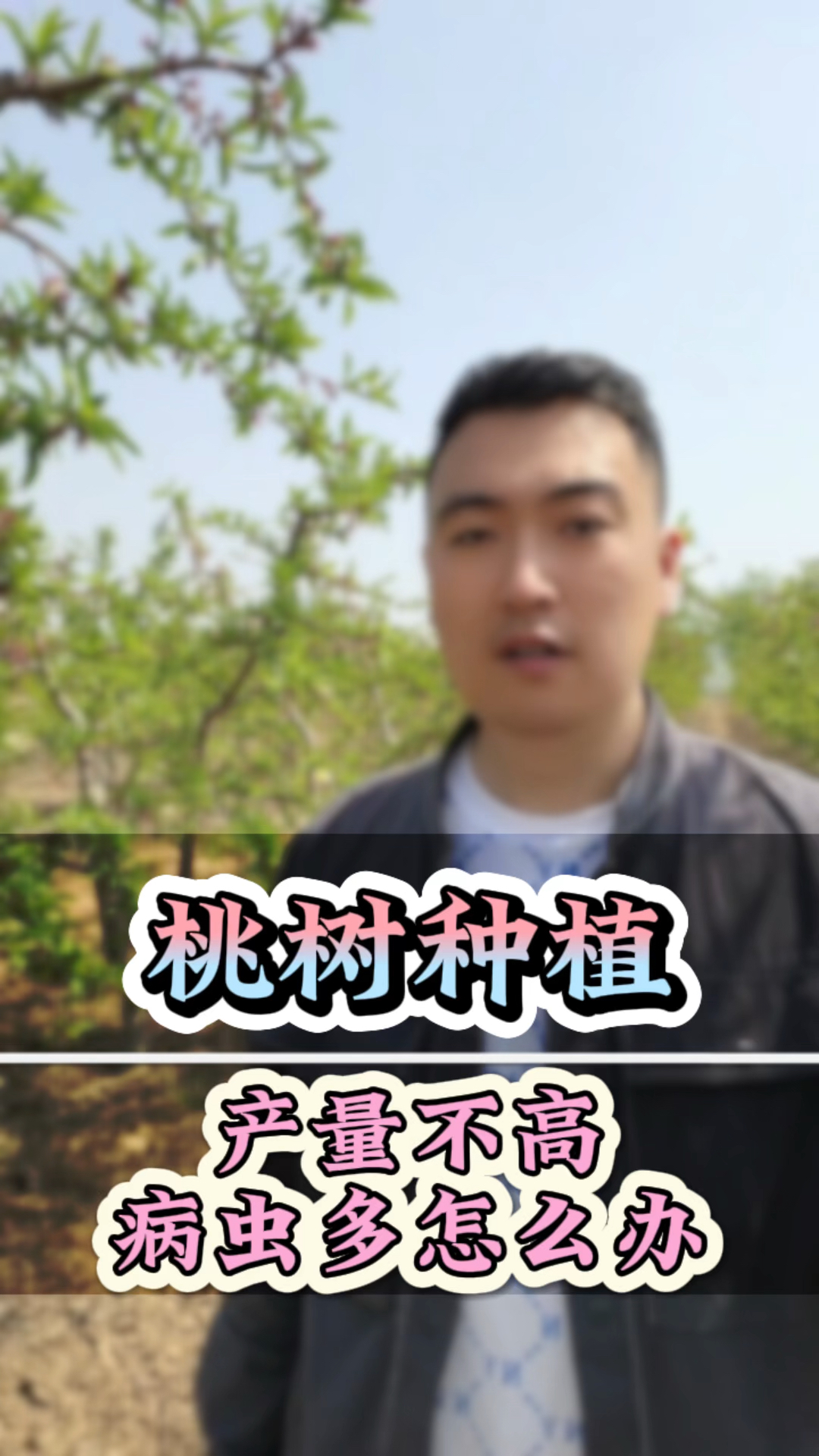 桃树病虫害防治方法
