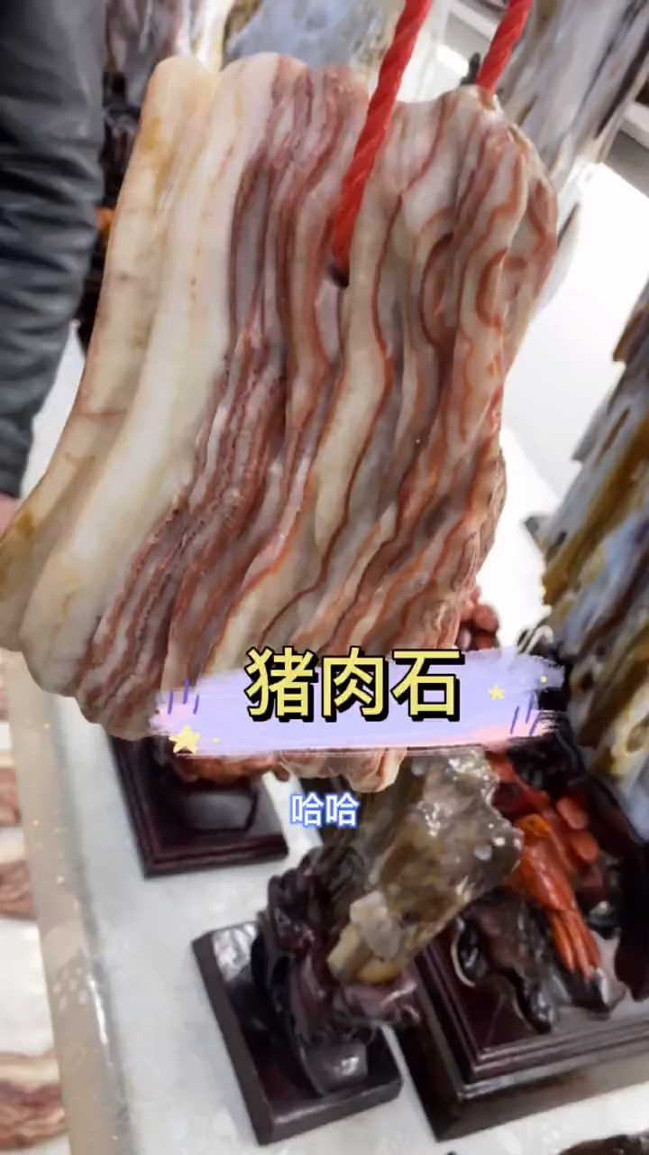 天然的猪肉石来了