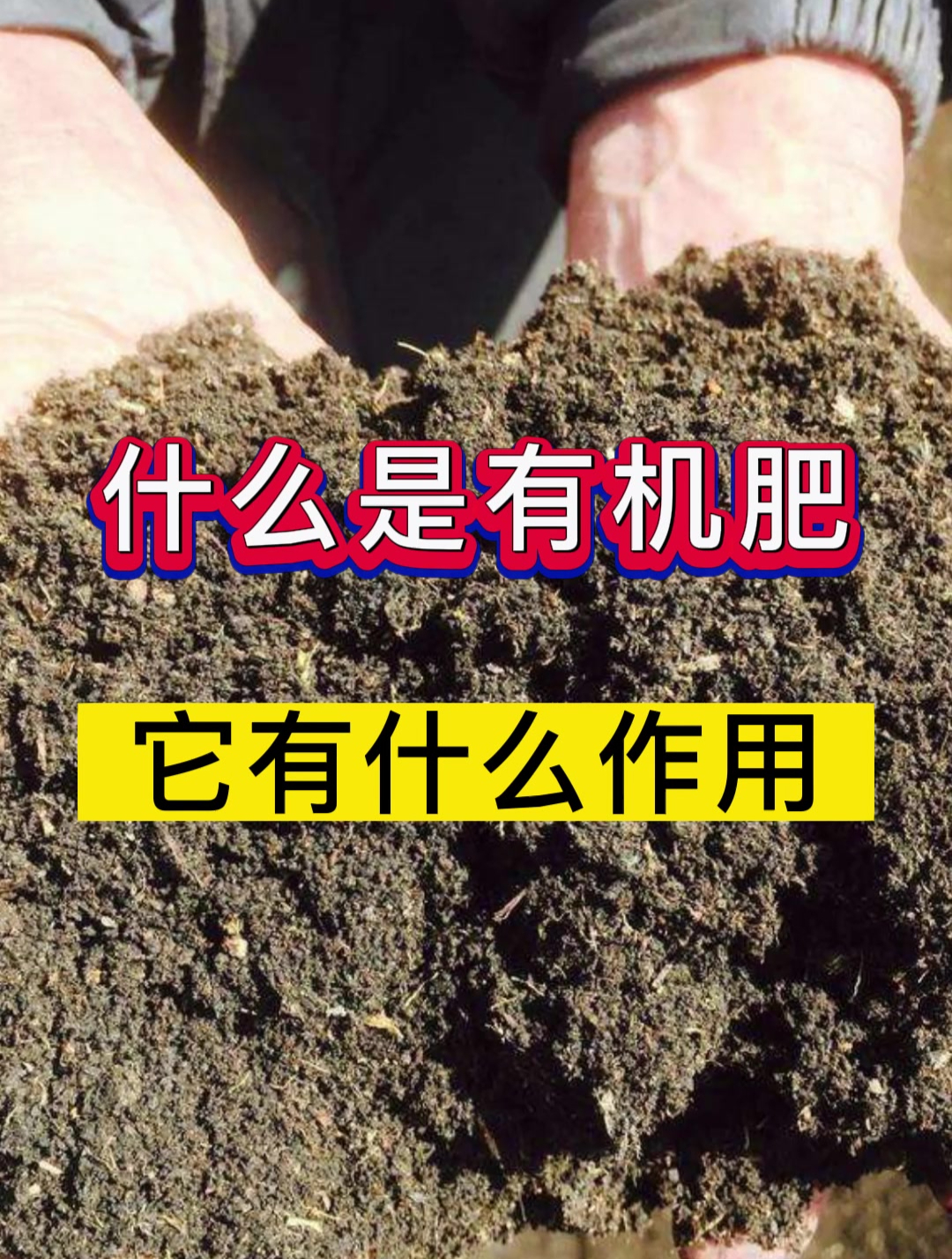 有机肥是什么肥?有机肥有什么作用?有机肥的用途及功效