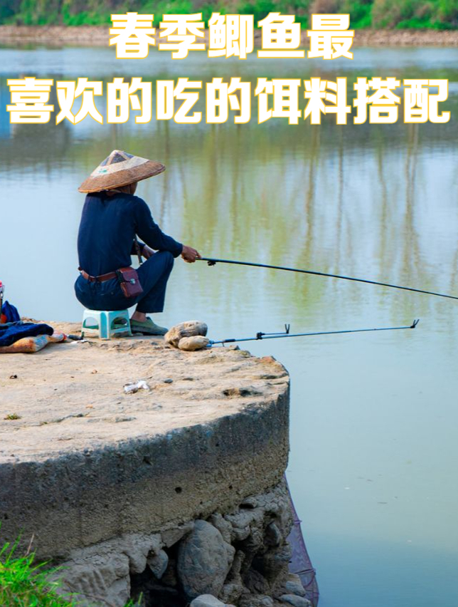 春季鲫鱼最喜欢的吃的饵料搭配!钓鱼新手入门级教程