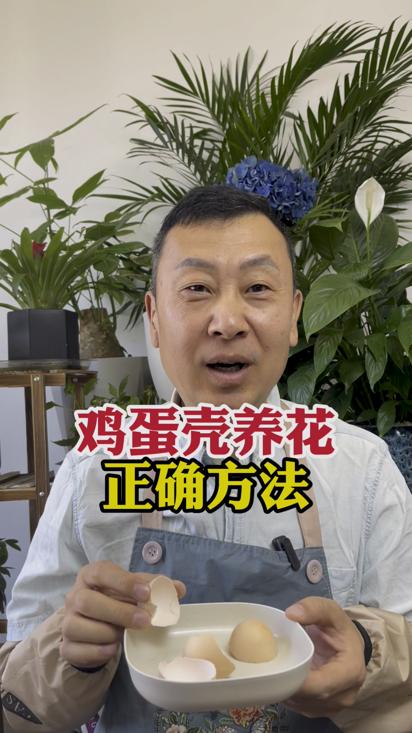 鸡蛋壳养花的正确方法