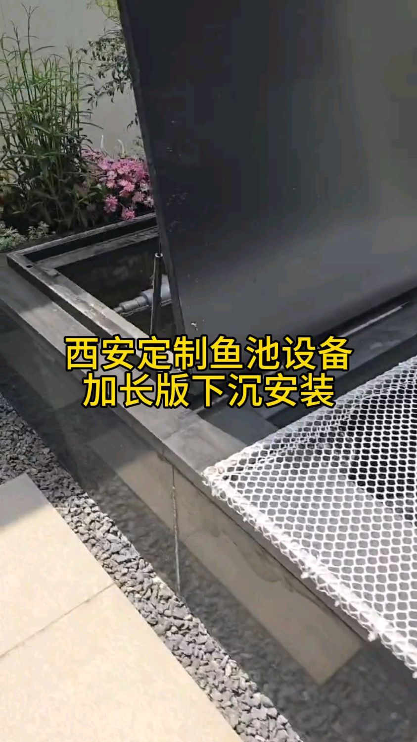 这个锦鲤鱼池位于古城西安,是一个带玻璃