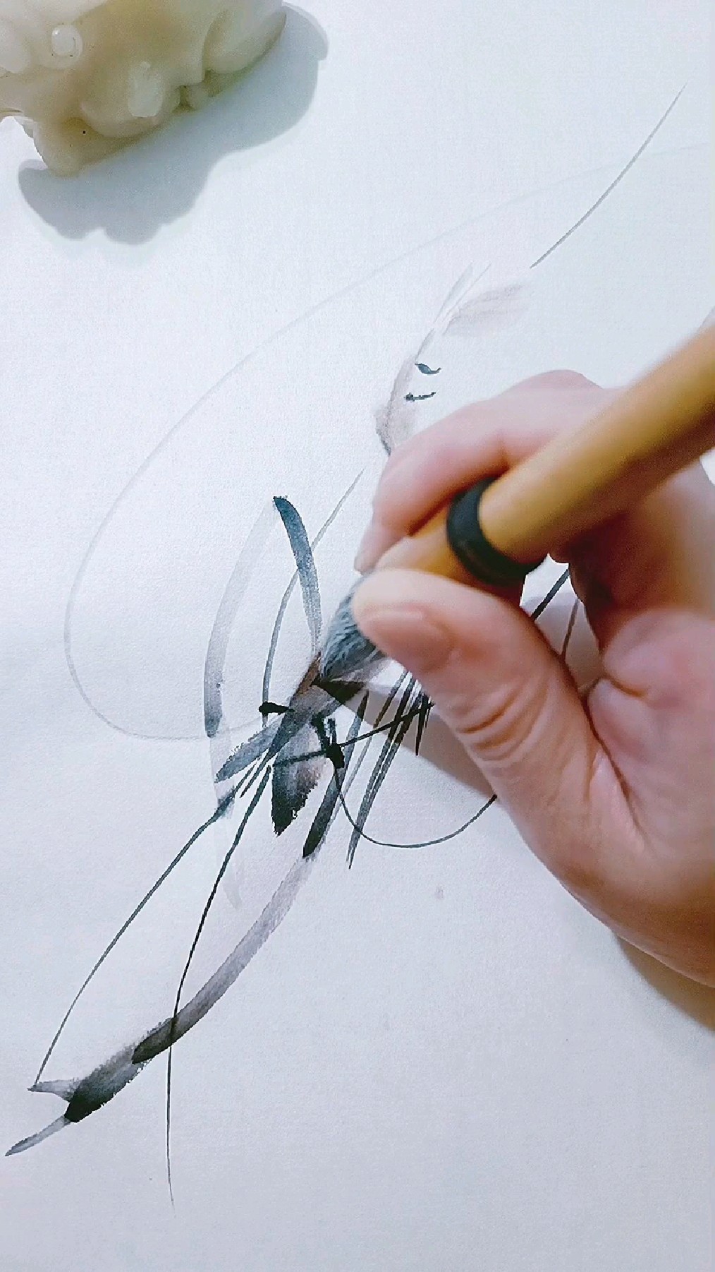 画虾真的很简单!只用一支笔就足够了!你也动笔画一画吧