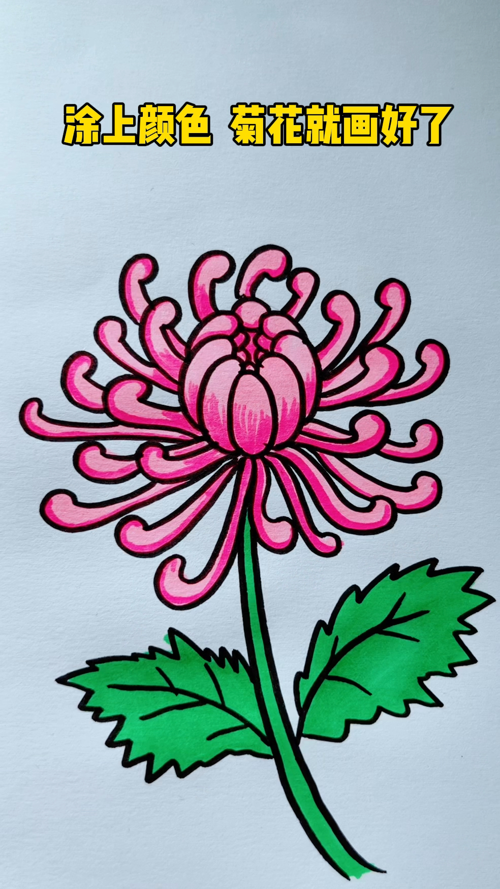 菊花这样画,简单又好看