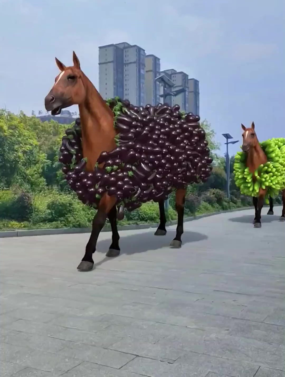 小马给大家送蔬菜来啦