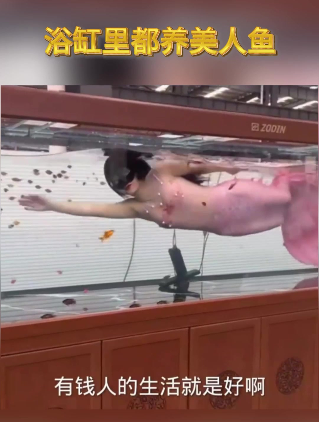 啥家庭啊,浴缸里都养美人鱼