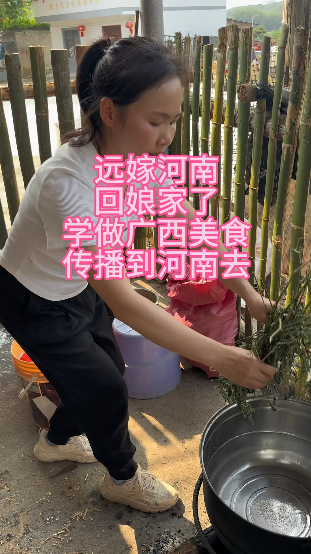 今天学做广西五色糯米饭中紫色糯米饭,是我最喜欢的一种味道
