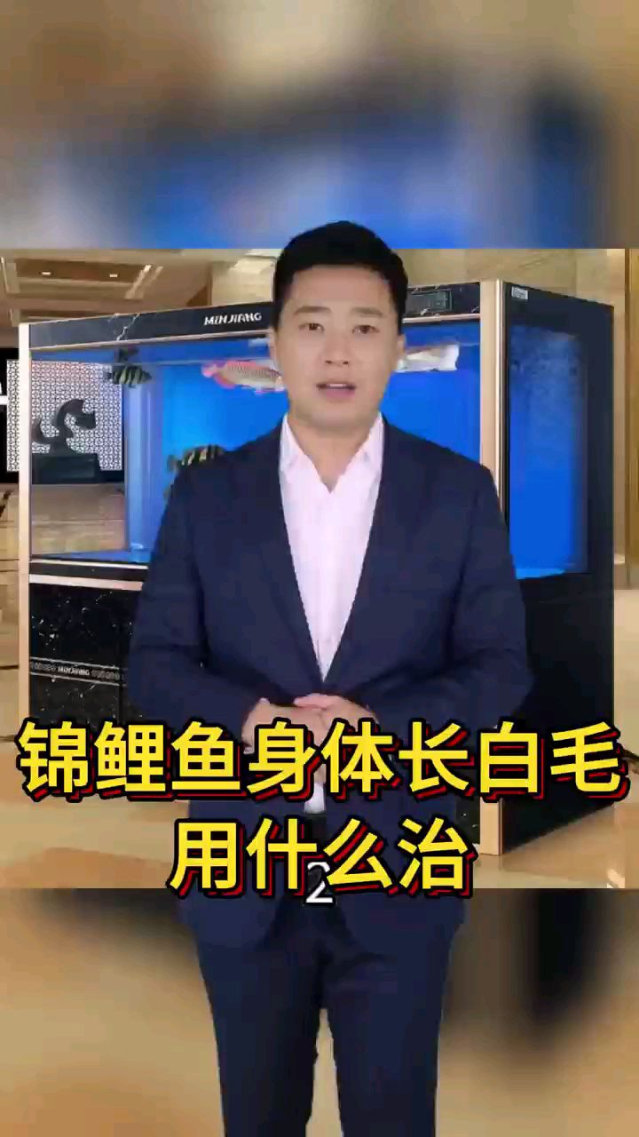 锦鲤鱼身体长白毛用什么治