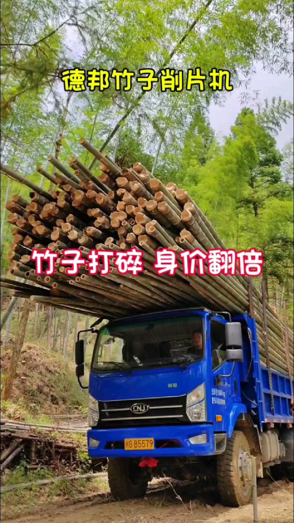 德邦竹子削片机 竹子打碎 身价翻倍