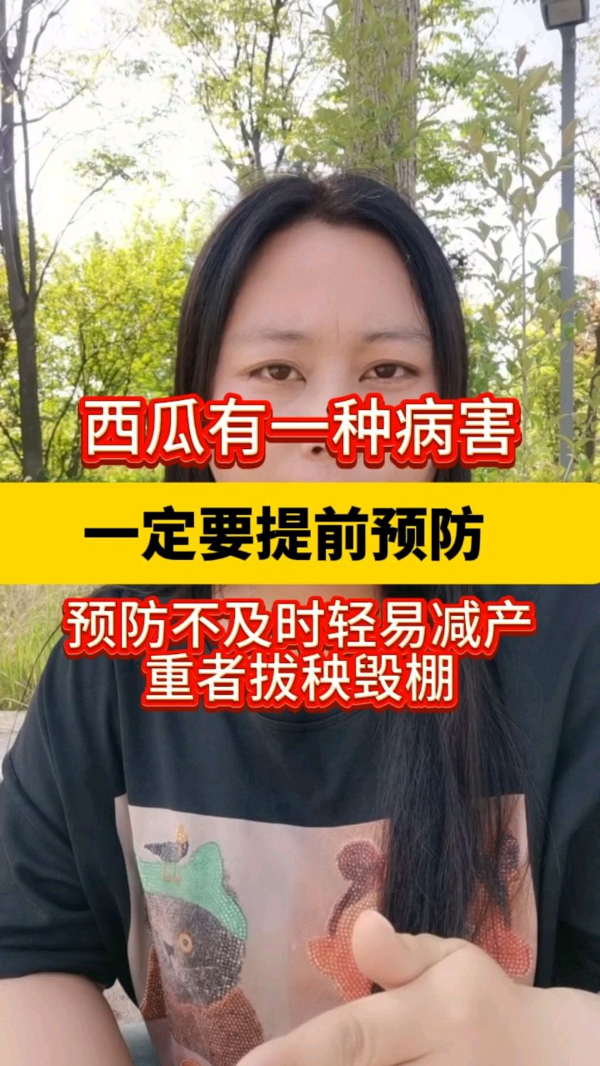 西瓜有一种病害一定要提前预防预防不及时轻易减产重者拔秧毁棚