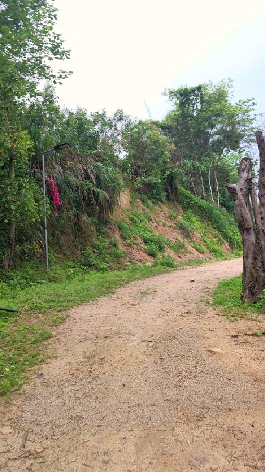 福州金鸡山公园,摔了一跤,路过老奶奶问需不需要扶起来,感动!