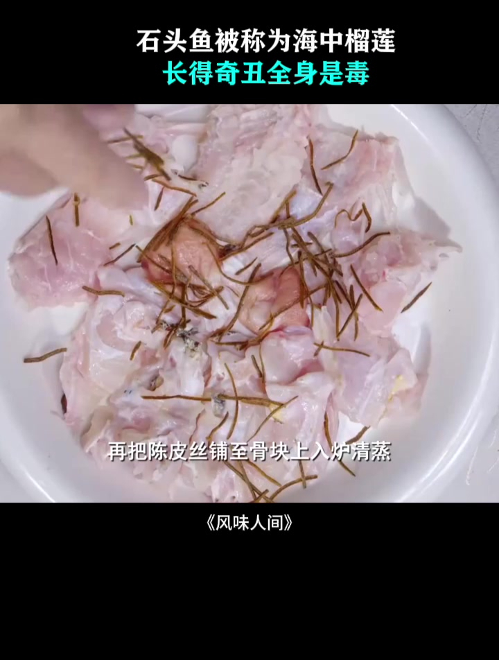 石头鱼被称为海中榴莲,长得奇丑全身是毒,高温蒸是最常吃法!