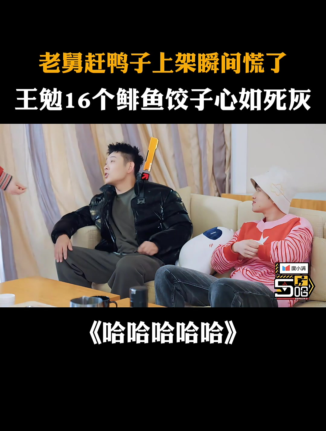 老舅被赶鸭子上架瞬间慌了,王勉16个鲱鱼饺子心如死灰