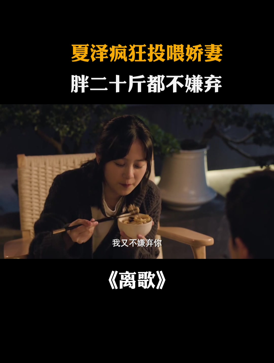 离歌:夏泽疯狂投喂娇妻:胖二十斤都不嫌弃