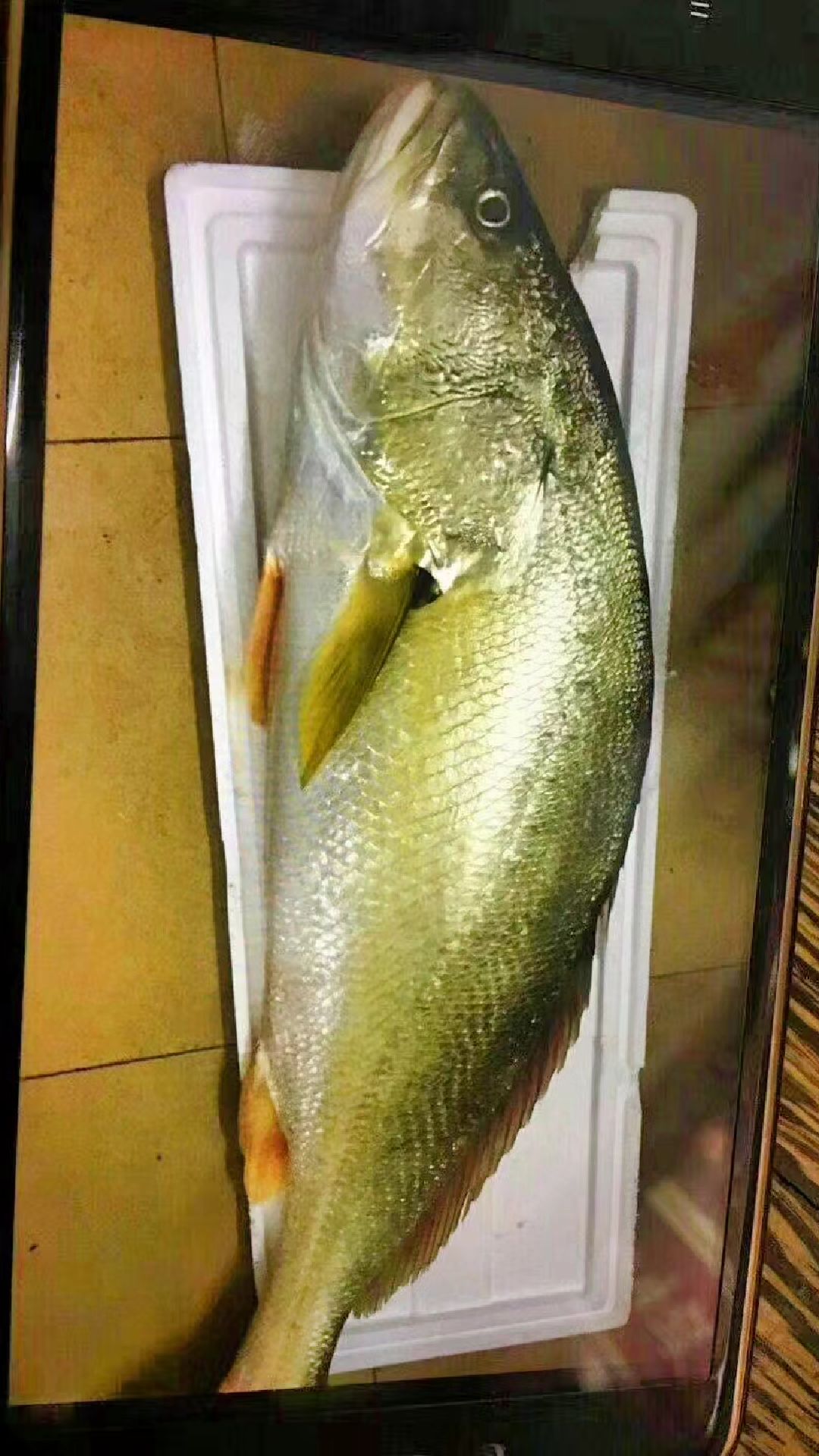 金钱鳘(猜一猜多少钱?)