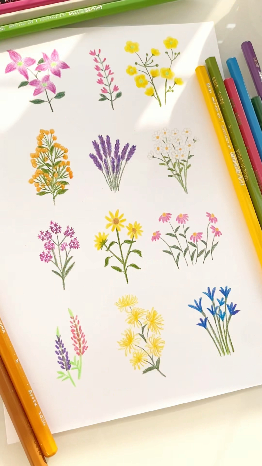 彩铅手绘各种花束治愈插画