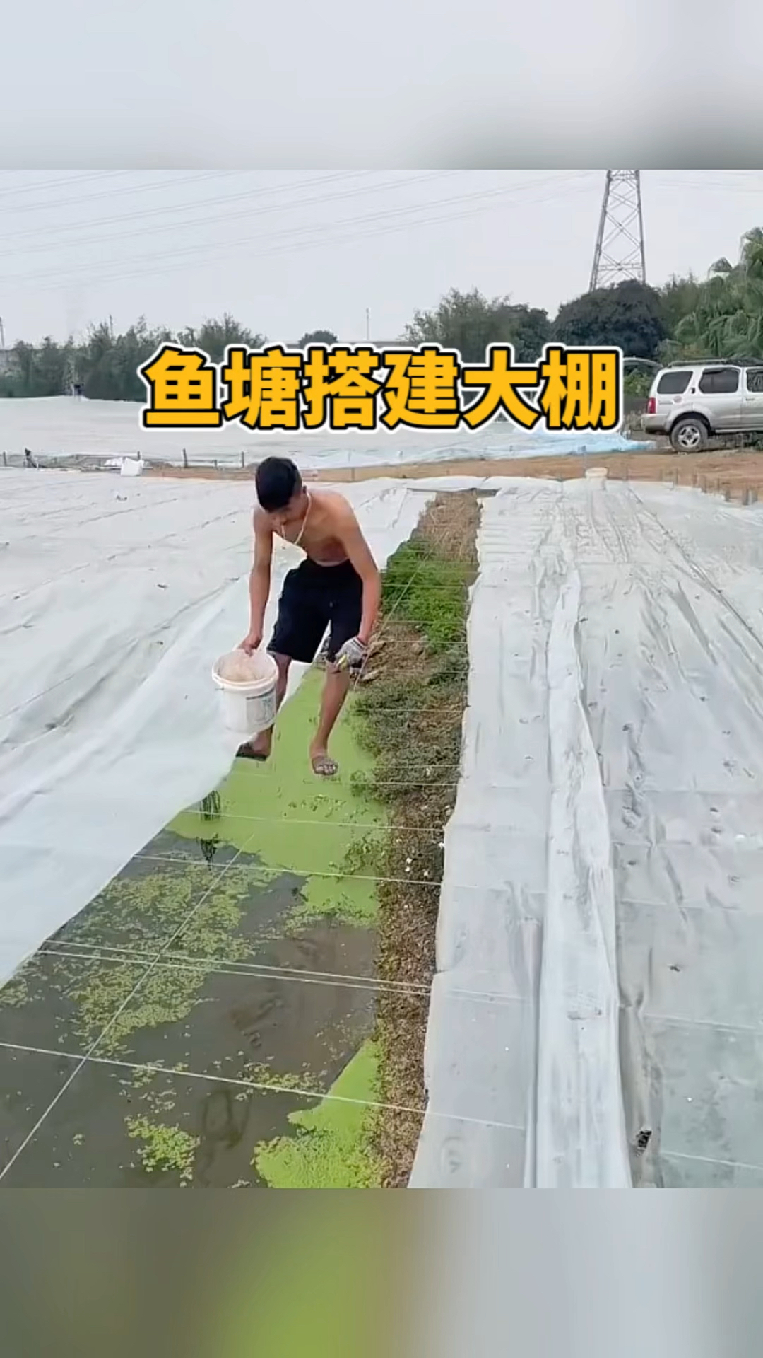 鱼塘搭建大棚