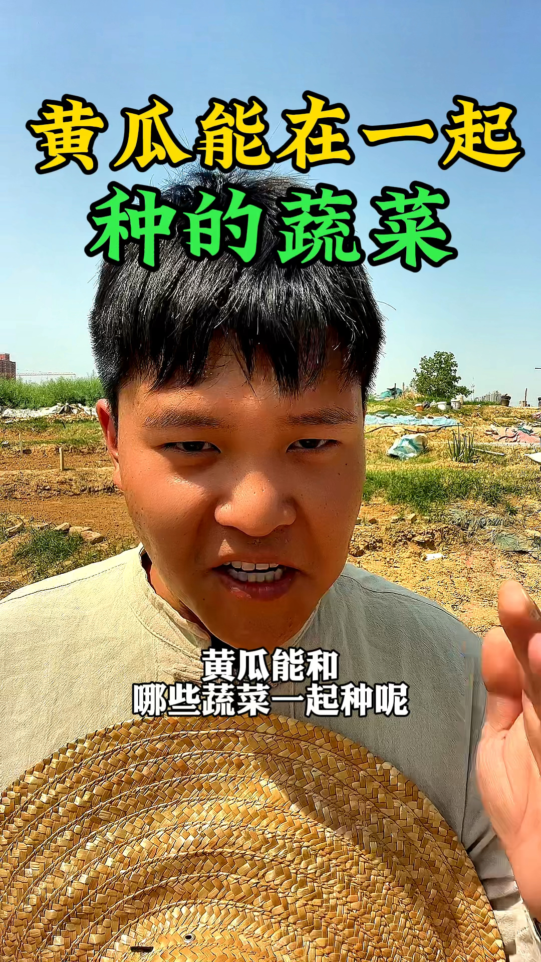 黄瓜能和哪些蔬菜在一起种呢,您知道吗