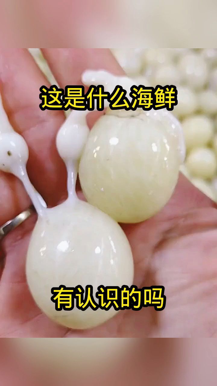 这是什么海鲜,有认识的吗?