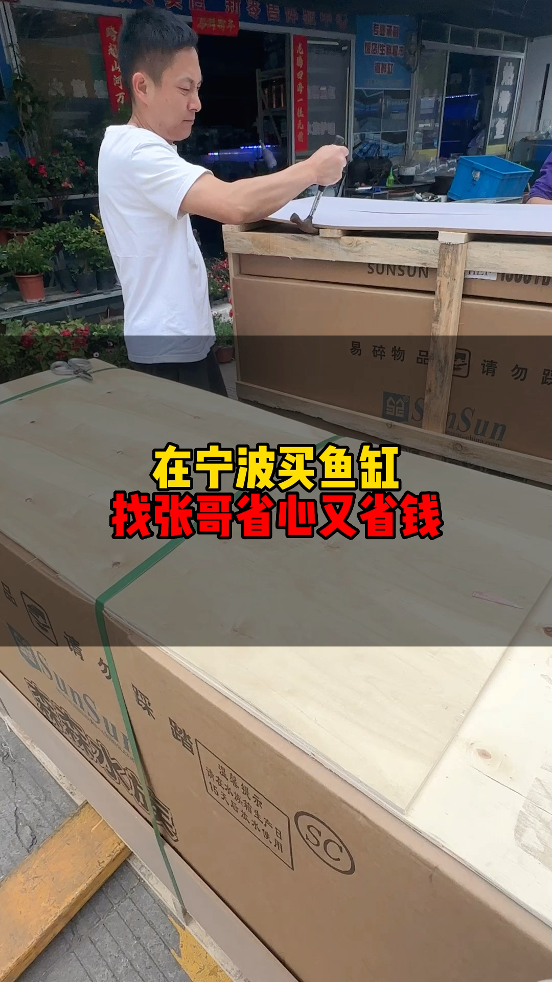 在宁波买鱼缸有一个人你一定要认识,那就是我,在买鱼缸养鱼的时候让你省心省力又省钱
