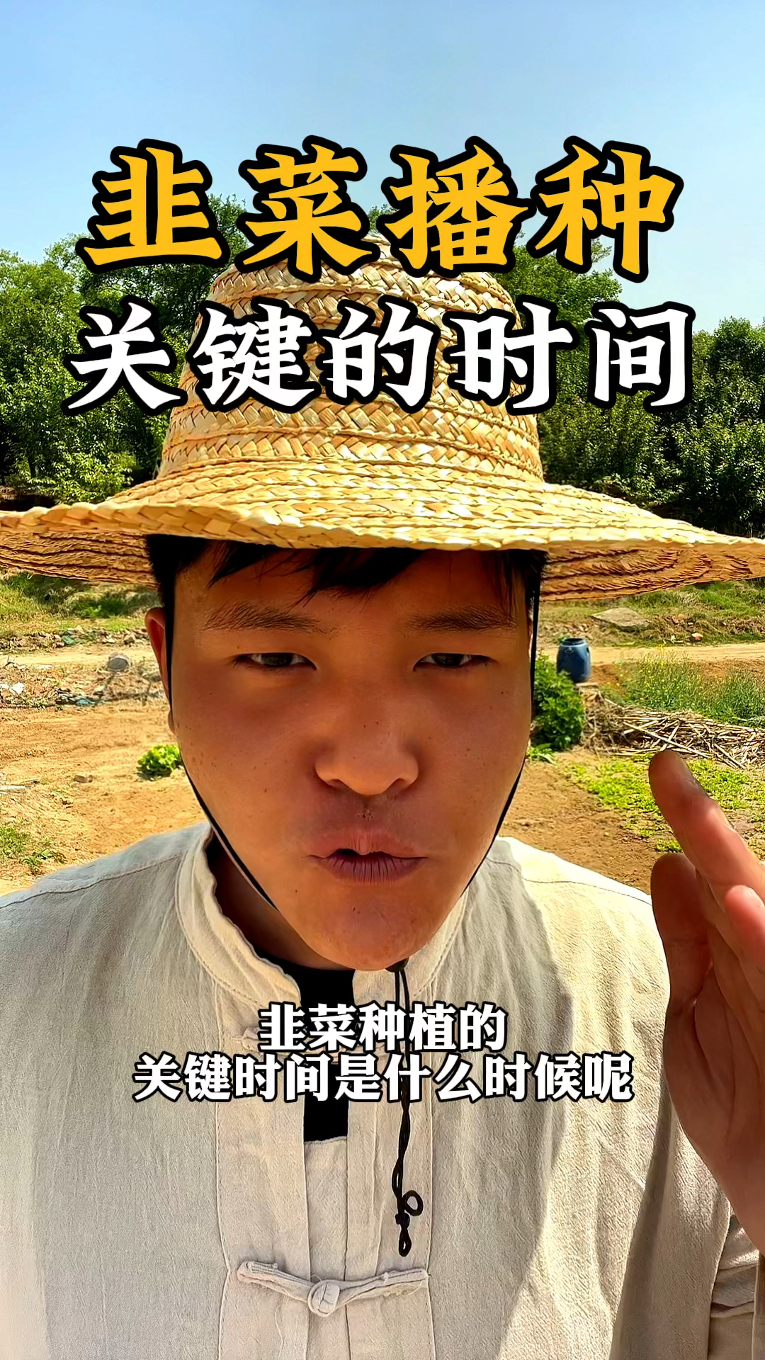 韭菜播种关键的时间,在这几个月里种植韭菜