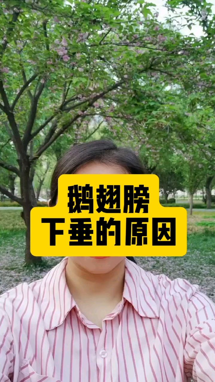 鹅翅膀下垂的原因