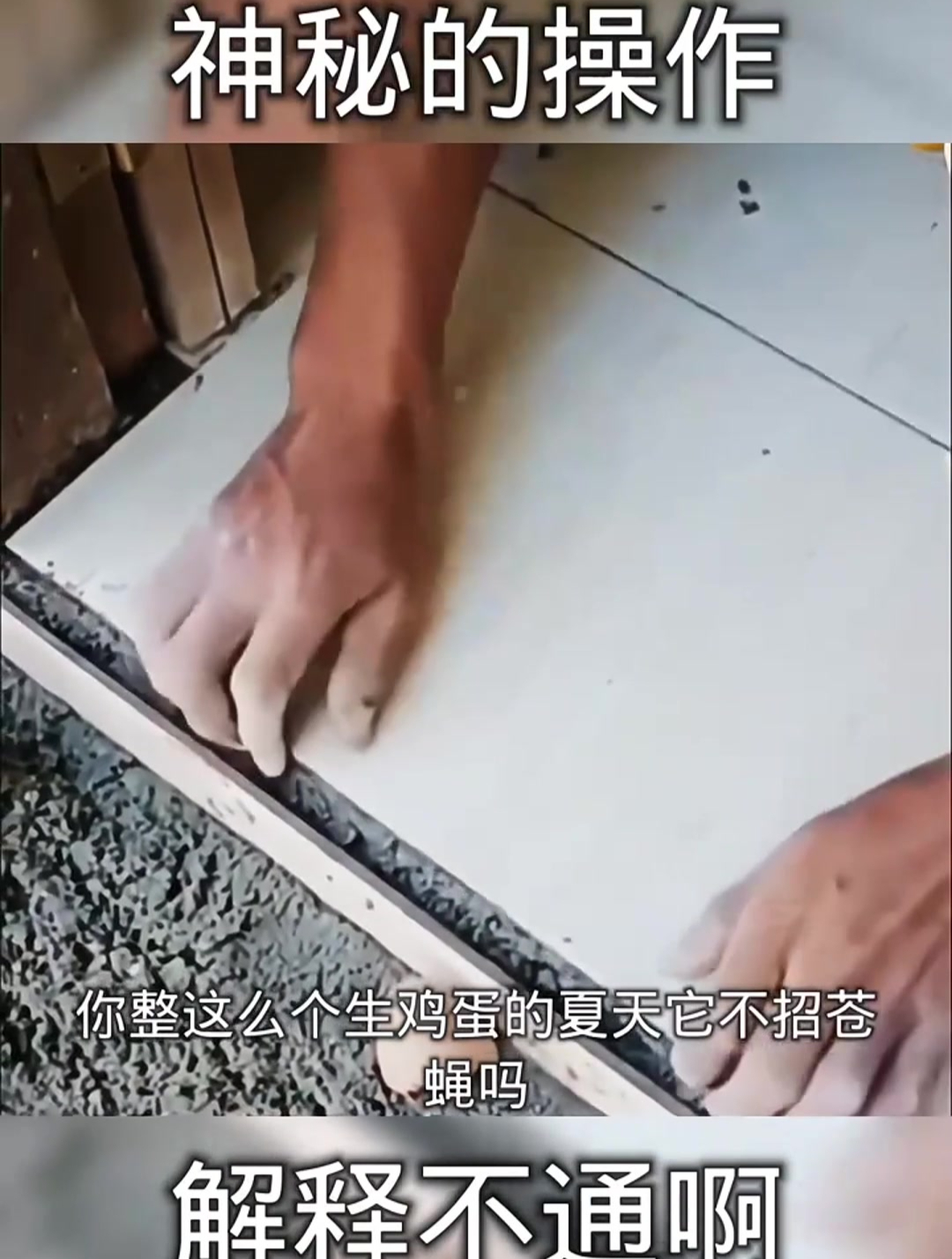 打一个生鸡蛋在里面夏天不招苍蝇吗?