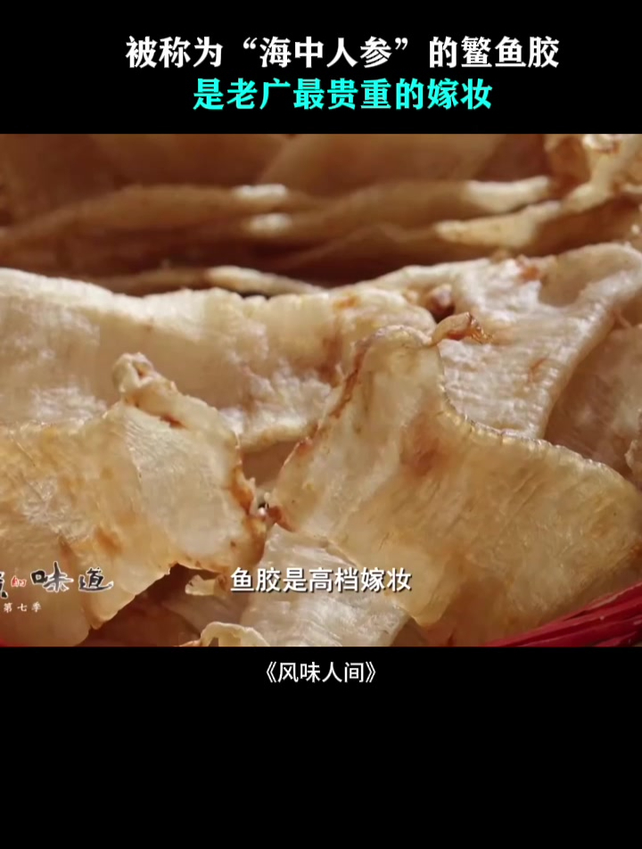 被称为“海中人参”的鳘鱼胶,是老广最贵重的嫁妆,可以补血养气