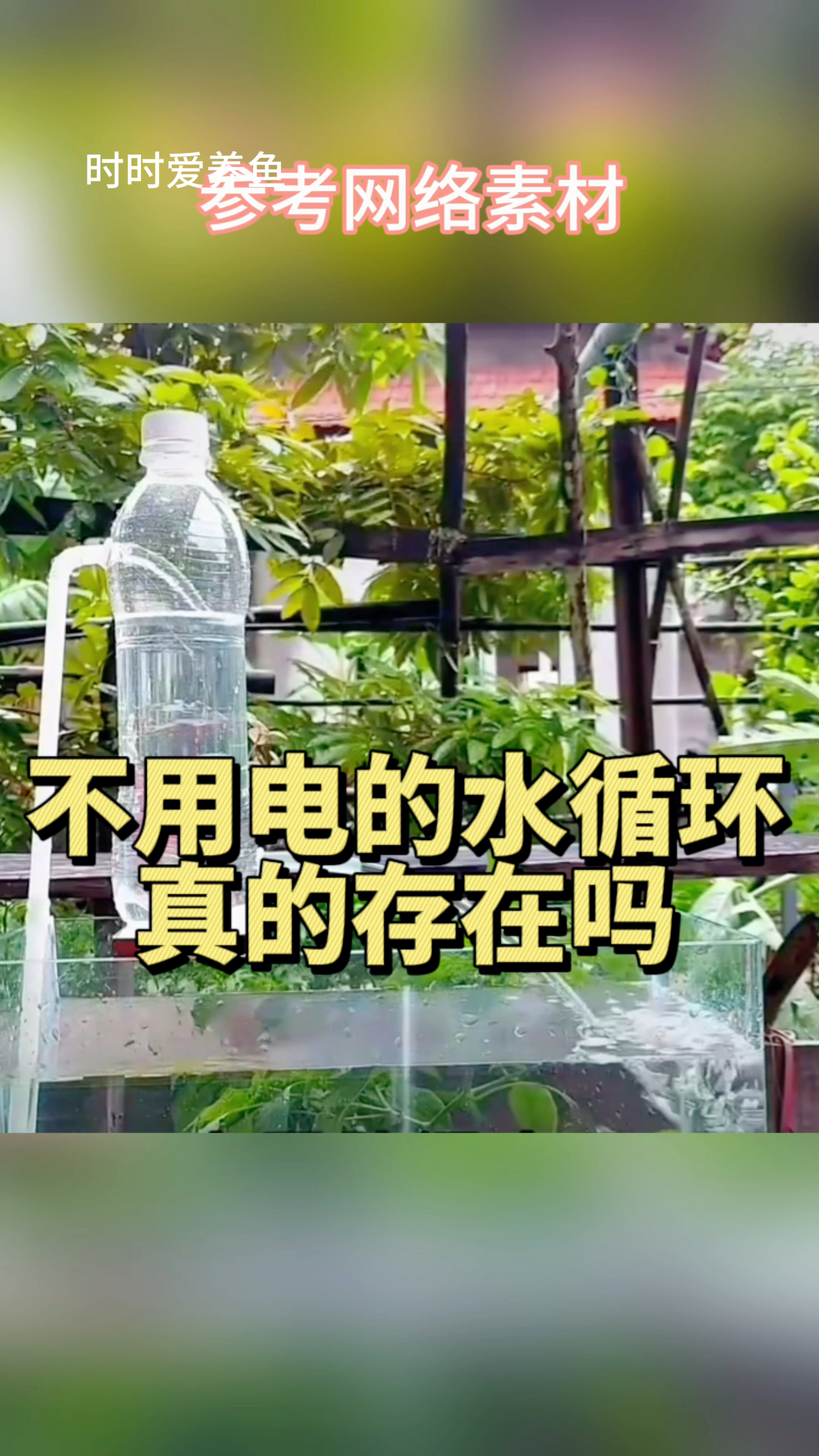 不用油不用电的水循环真的存在吗?#观赏鱼 #养鱼日记 #手工diy