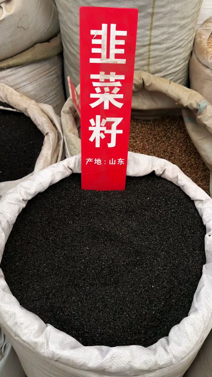 炒熟的韭菜籽搭配枸杞泡水喝