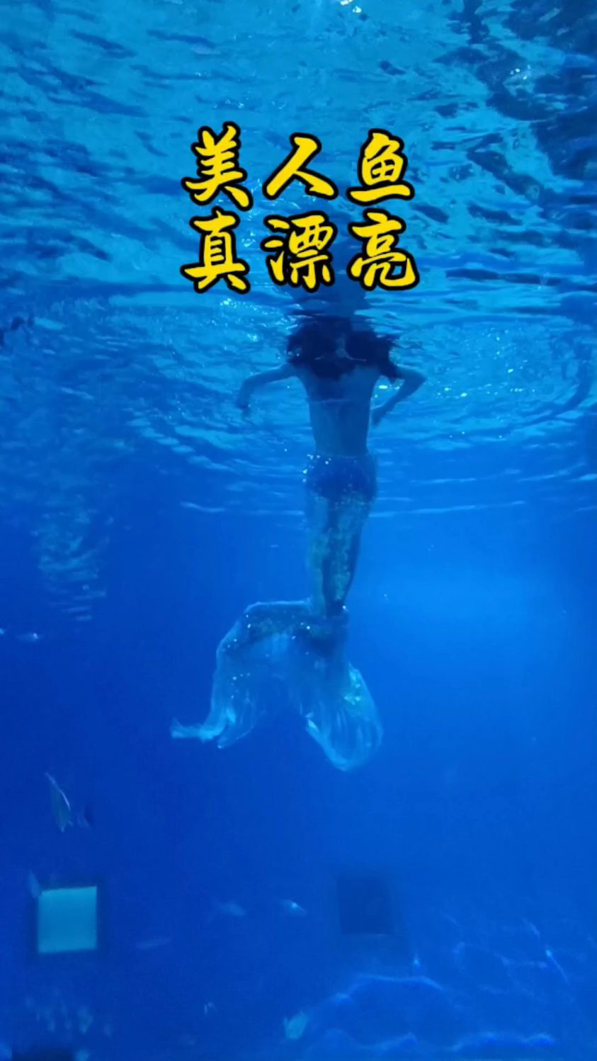 你知道海洋馆月入过万的王牌解说是什么样的吗?看看解说美人鱼吧
