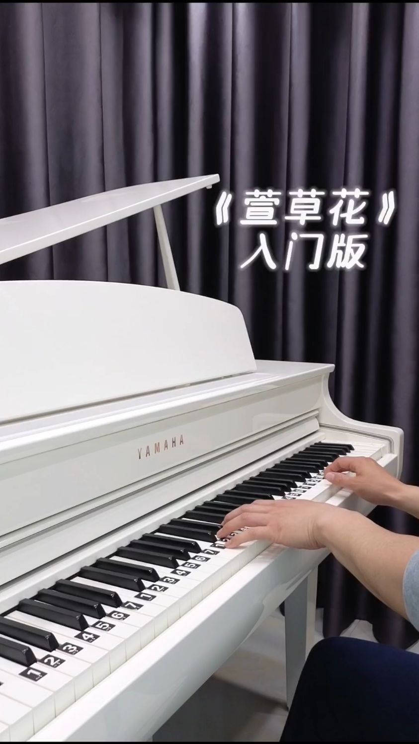 《萱草花》简单双手简谱钢琴教学