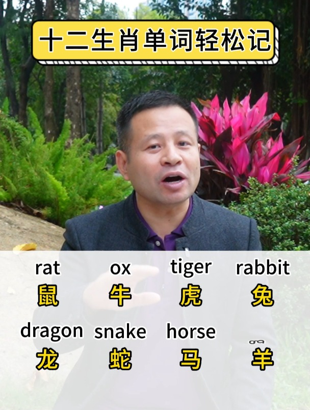 十二生肖英文单词轻松记!