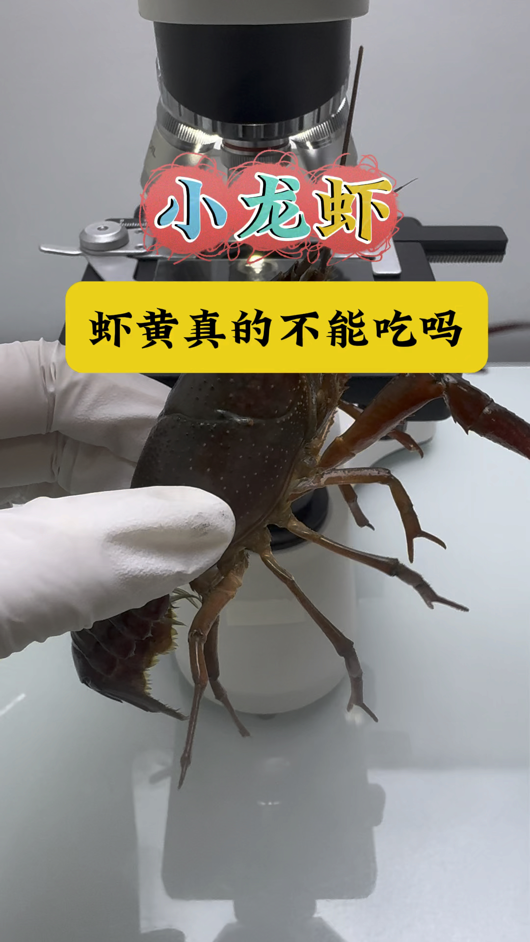 虾黄真的不能吃吗?