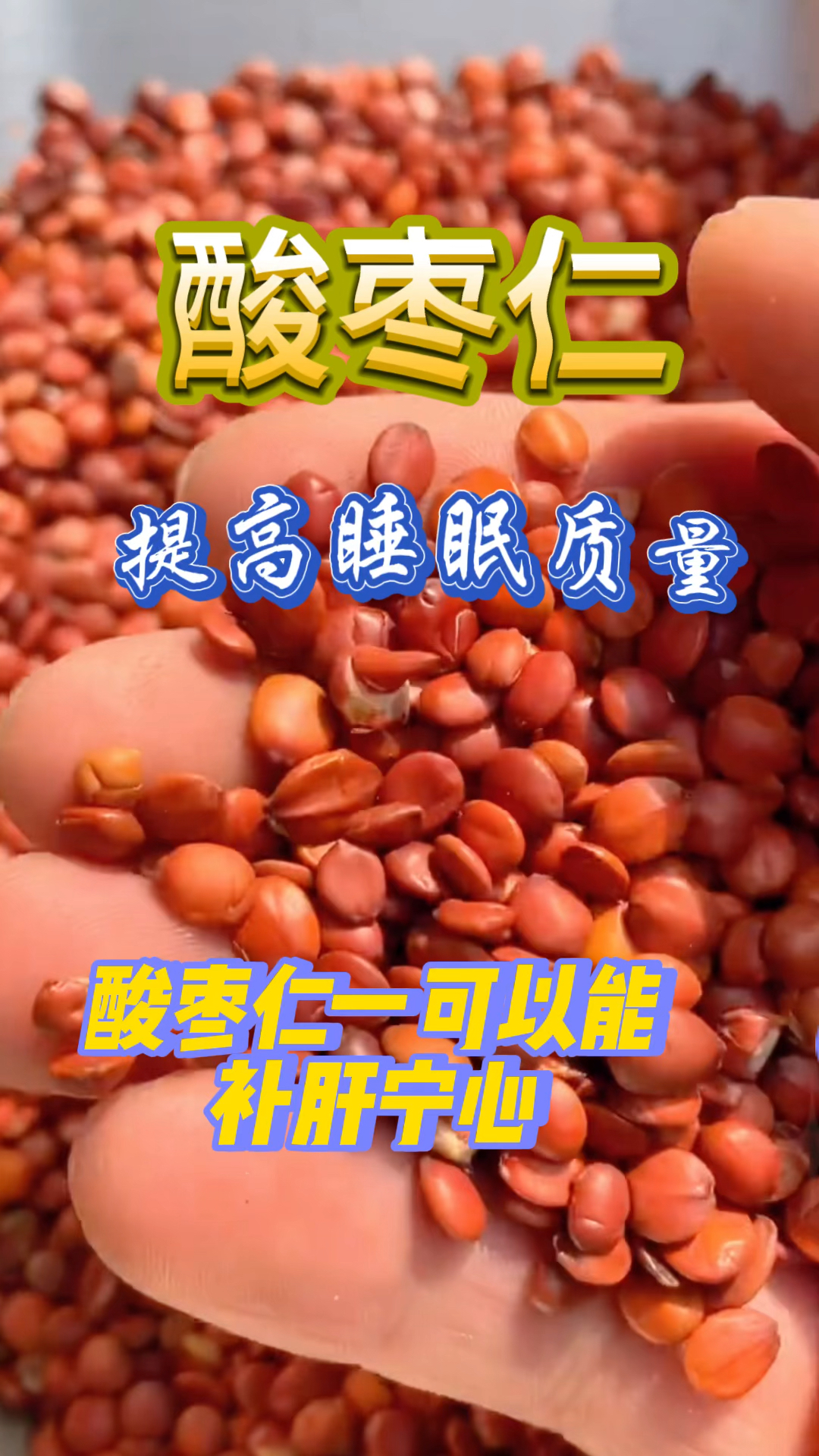 酸枣仁泡水喝,可以提高睡眠质量!