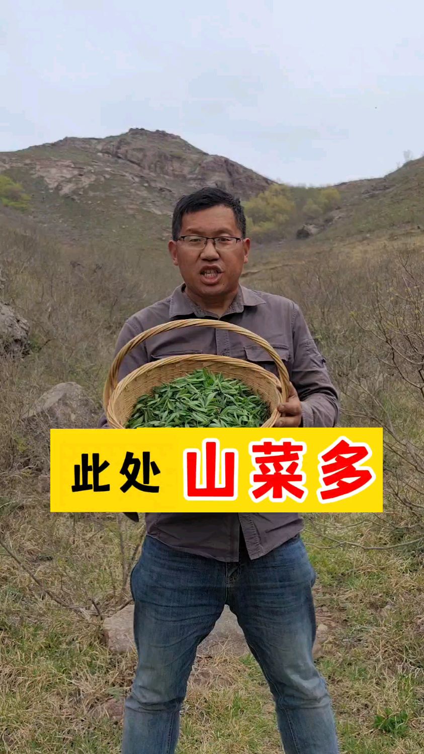 此处山蚂蚱菜最多——海阳市前寨后村