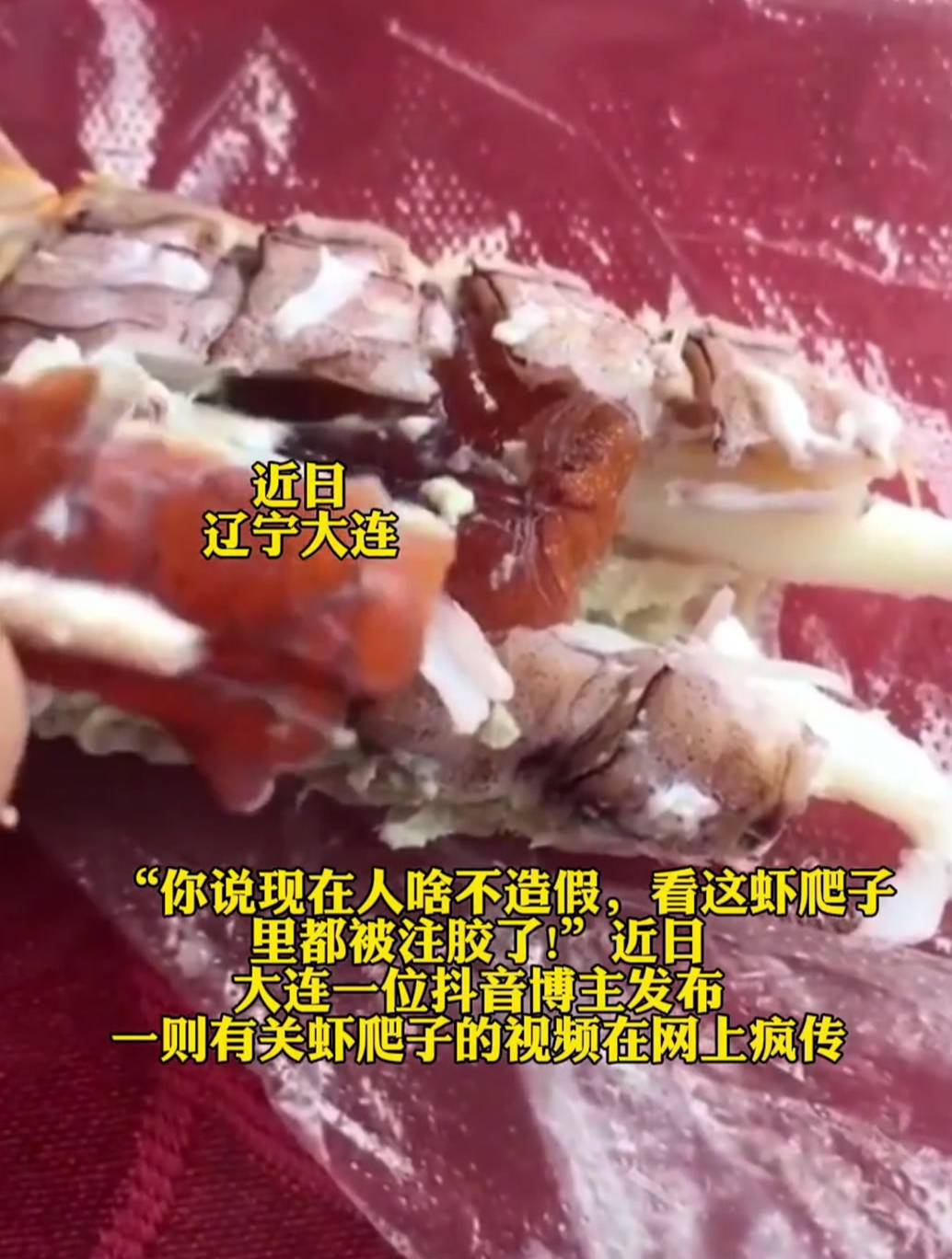 虾爬子注胶了?大连一博主涉嫌造谣!专家:胶状物是虾黄
