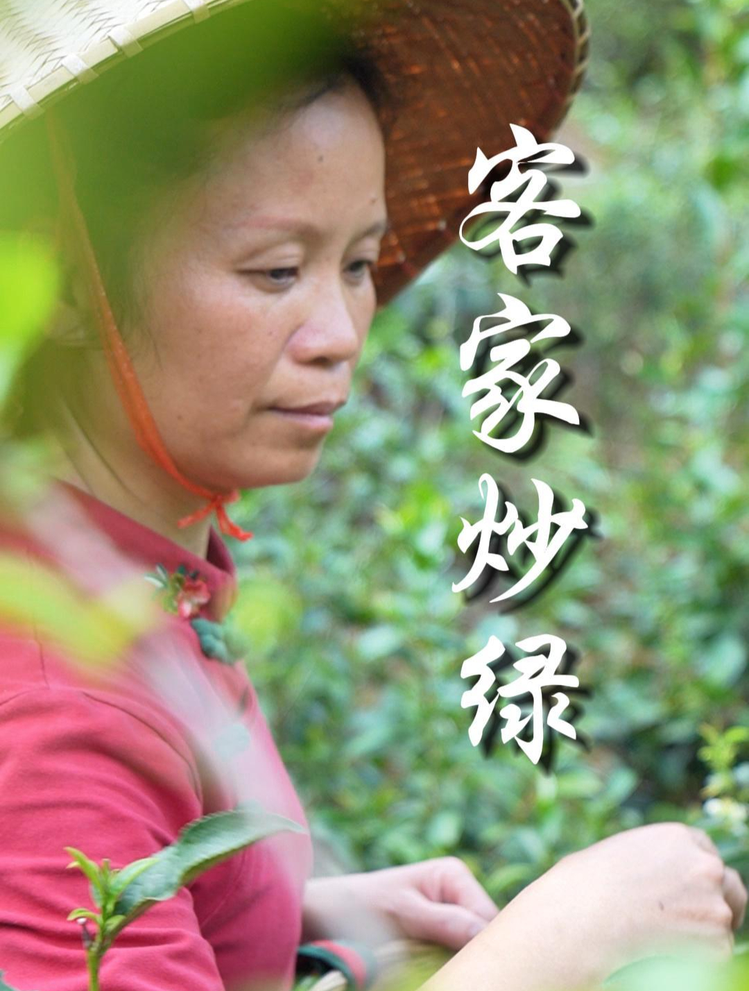 客家炒绿——传统工艺,味道传承